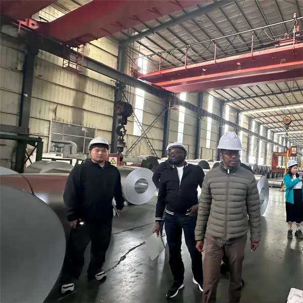 Hot Rolled Galvanized Roof Sheet PPGI Corrugated Roofing Sheet Colour Coated Roofing Sheets